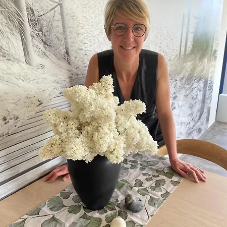 Maison d'hôtes Maison Houx