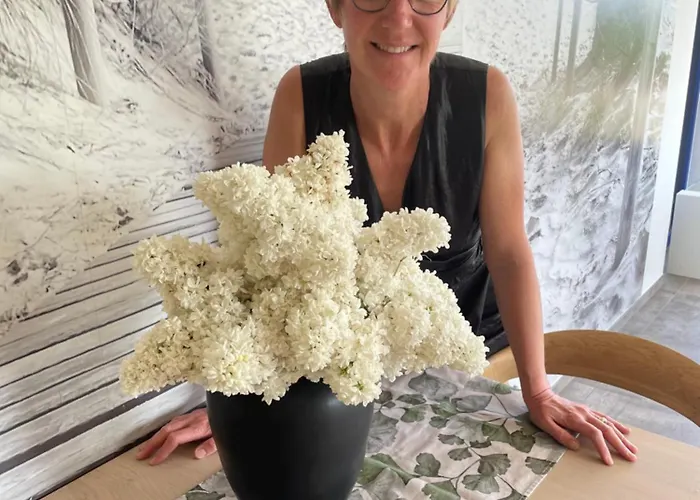 Maison d'hôtes Maison Houx